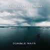 Dominick Maita - Rain All Night