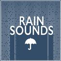 Rain Sounds专辑