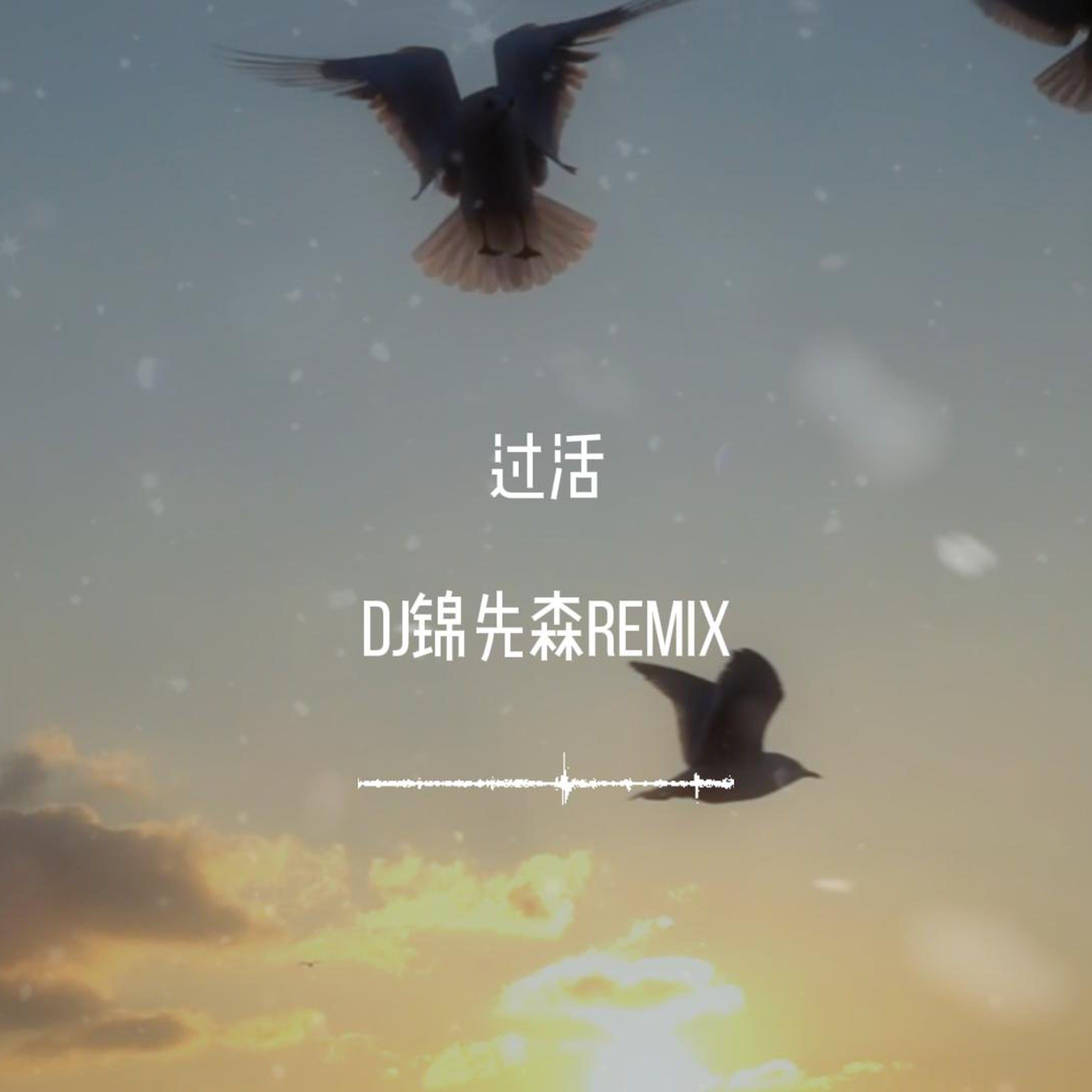 过活（DJ锦先森 Remix）