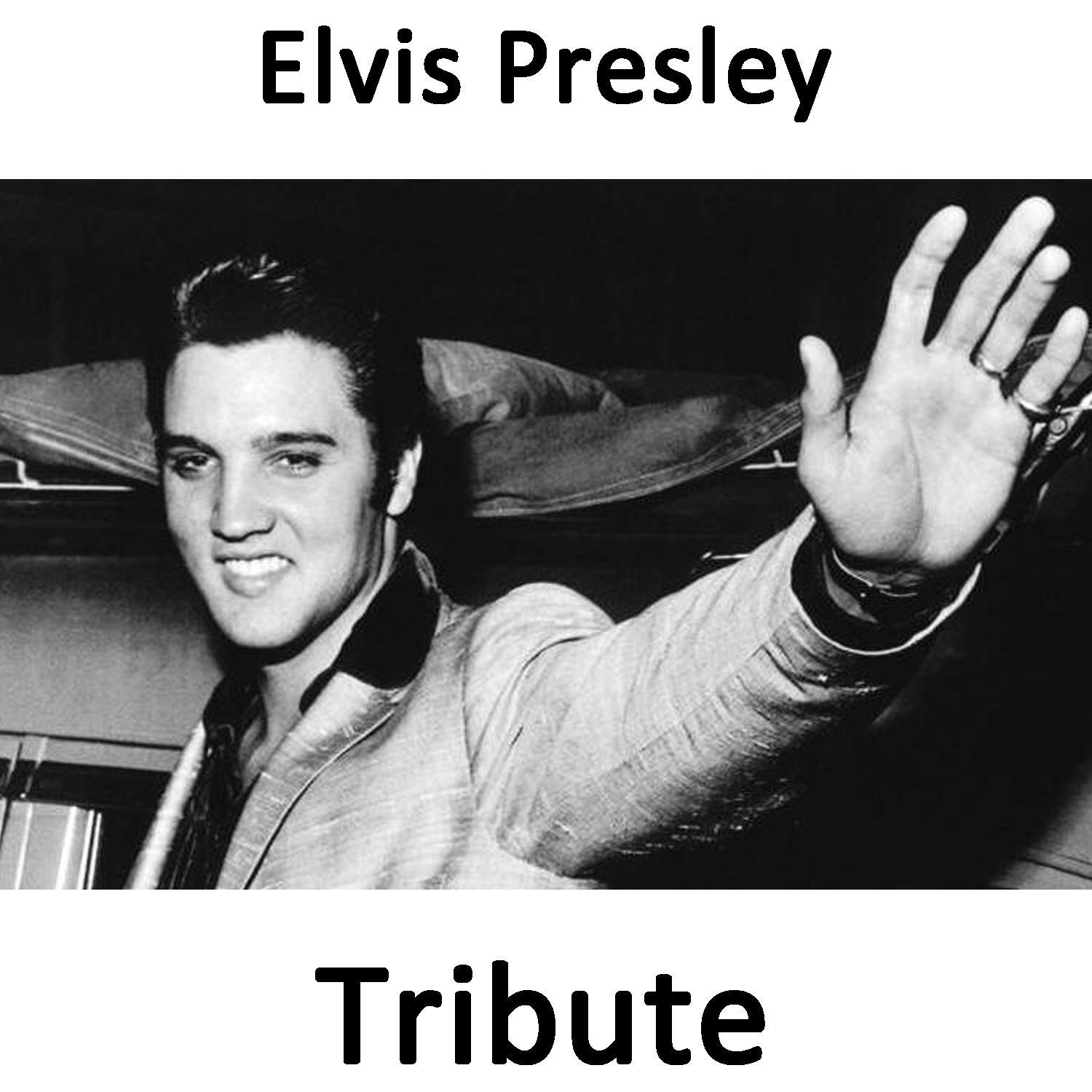 All Shook Up: Tribute To Elvis Presley Part 1
