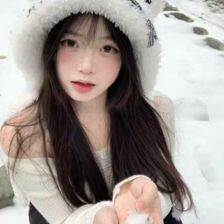 避风港真的可以避风吗