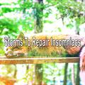 Storms To Repair Insomniacs