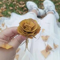 后来才知道 - 卢武茅龙景