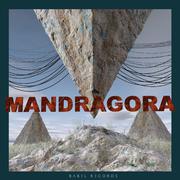 Mandragora(小黑mk Remix)