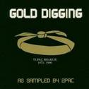 Gold Digging: As Sampled by 2Pac专辑