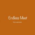 Endless Meet专辑