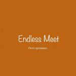 Endless Meet专辑