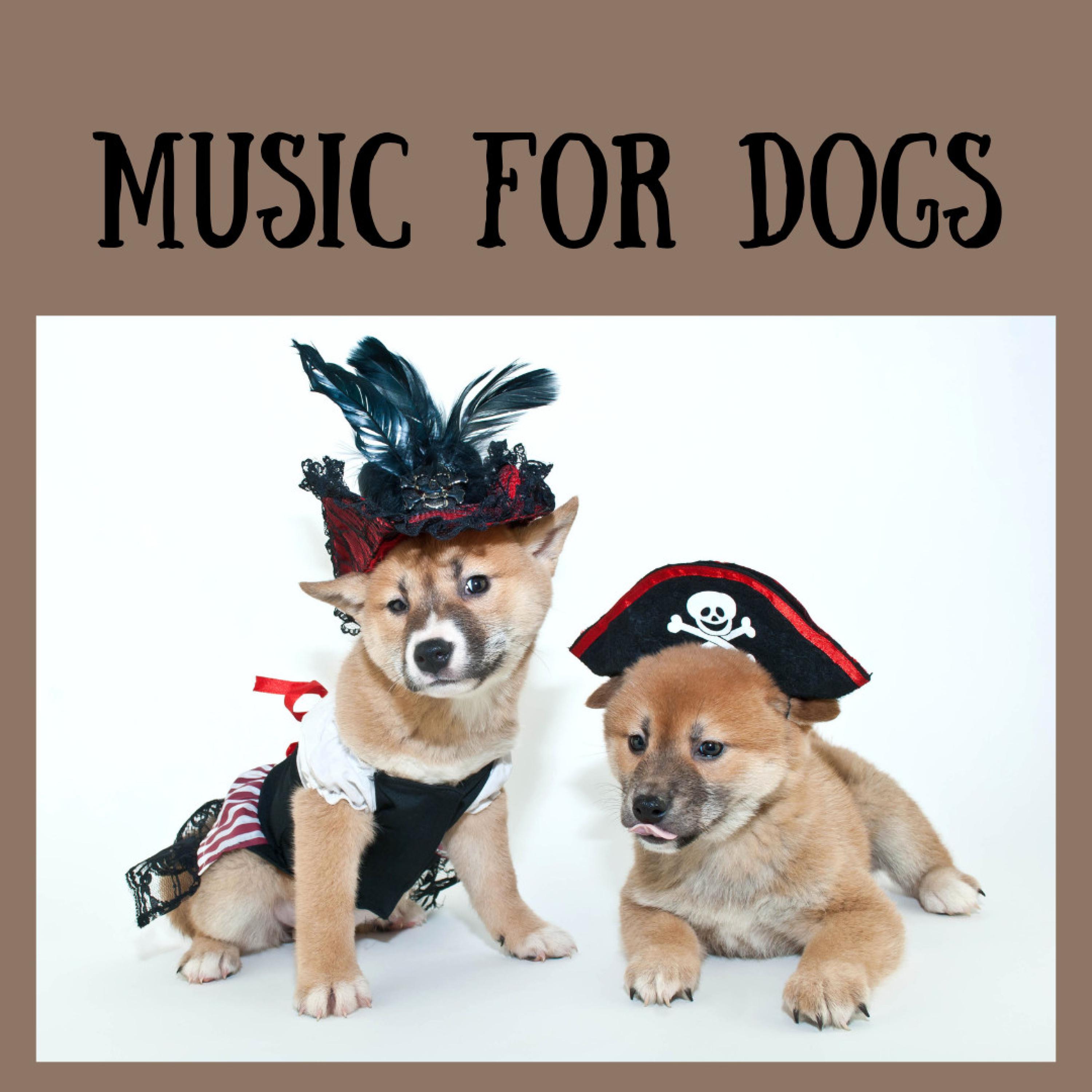 Piano Instrumental for Dogs - Music For Dogs/Music For Dogs Peace ...