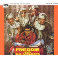 Freddie & The Dreamers - I Understand (just How You Feel) (karaoke)