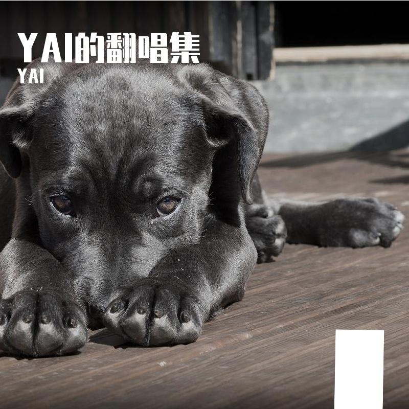 YAI的翻唱集