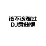 该不该难过 (DJ版)专辑