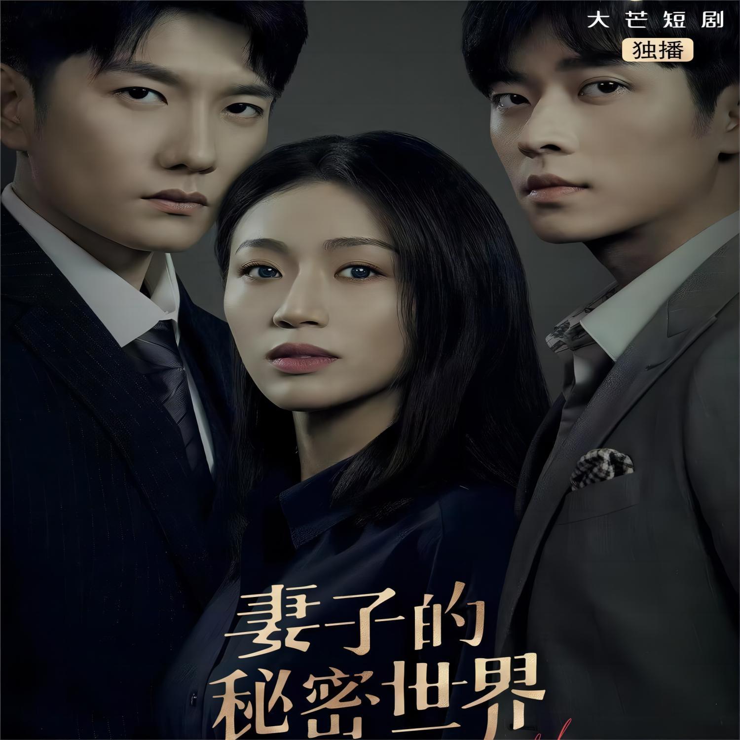 《妻子的秘密世界》网剧主题曲原声带