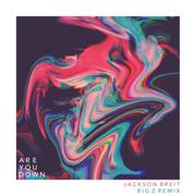 Are You Down (Big Z Remix)