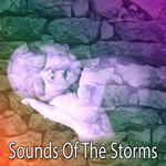 Sounds Of The Storms专辑