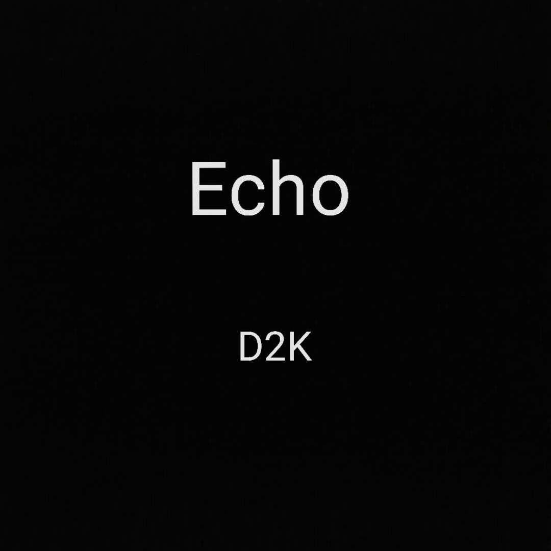 Echo专辑