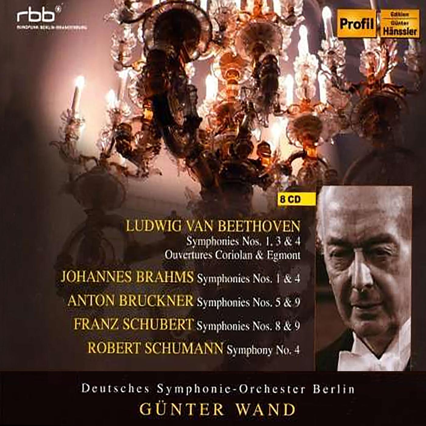 Orchestral Music - BEETHOVEN, L. van / SCHUBERT, F. / SCHUMANN, R. / BRAHMS, J. / BRUCKNER, A. (Deut专辑