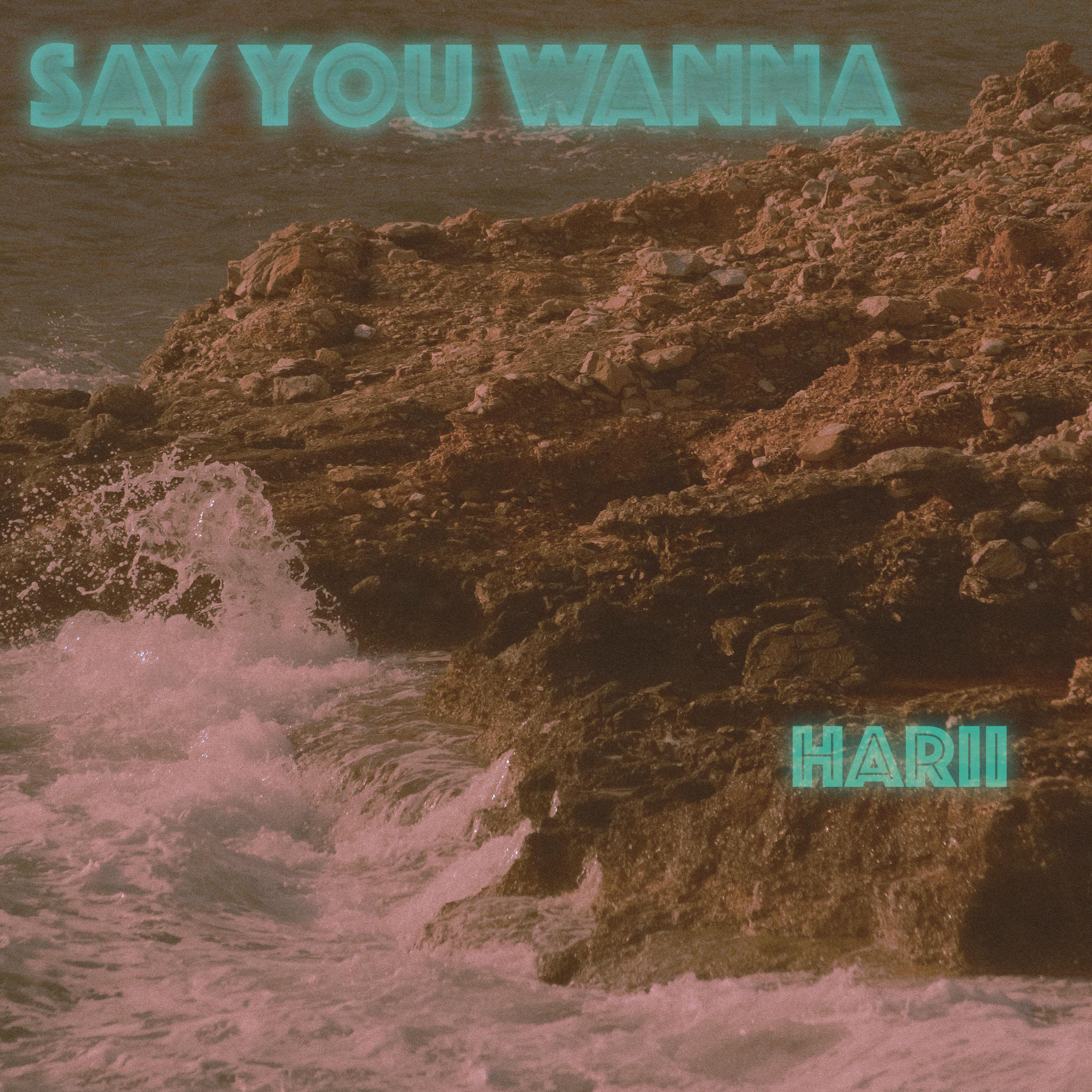 Say You Wanna