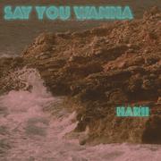 Say you Wanna