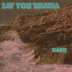 Say you Wanna