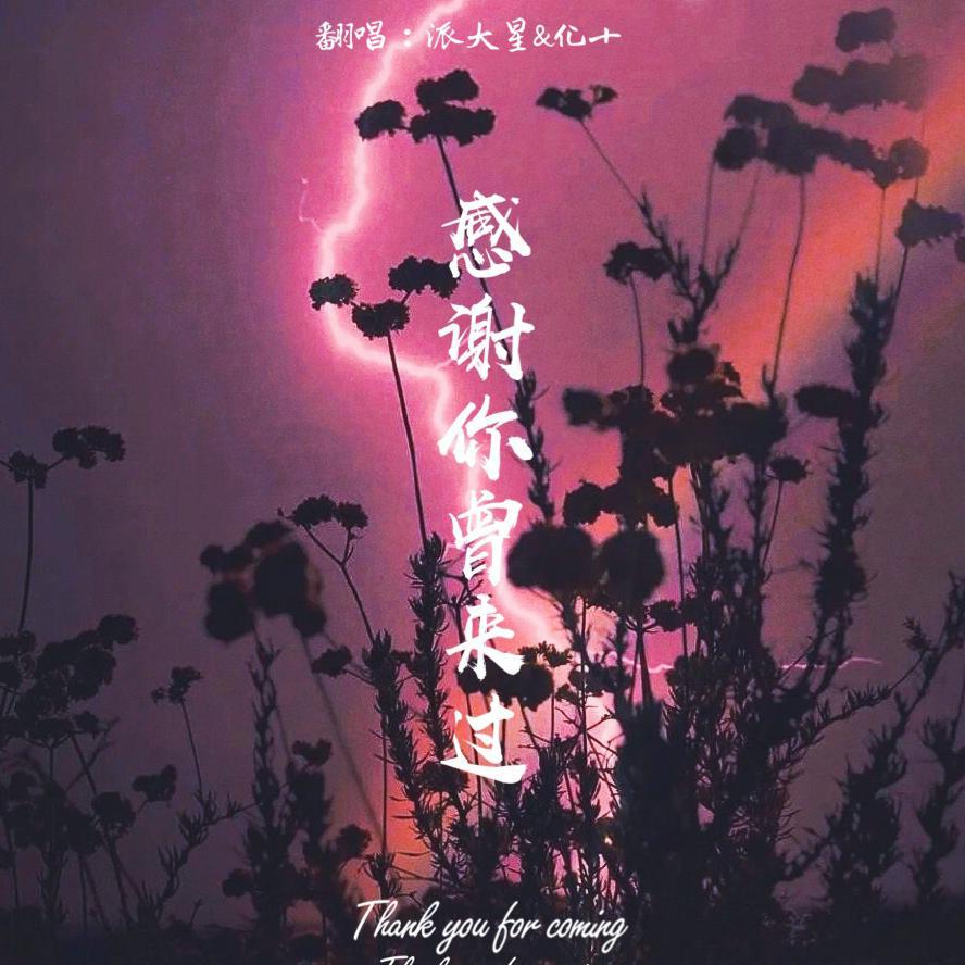 感谢你曾来过