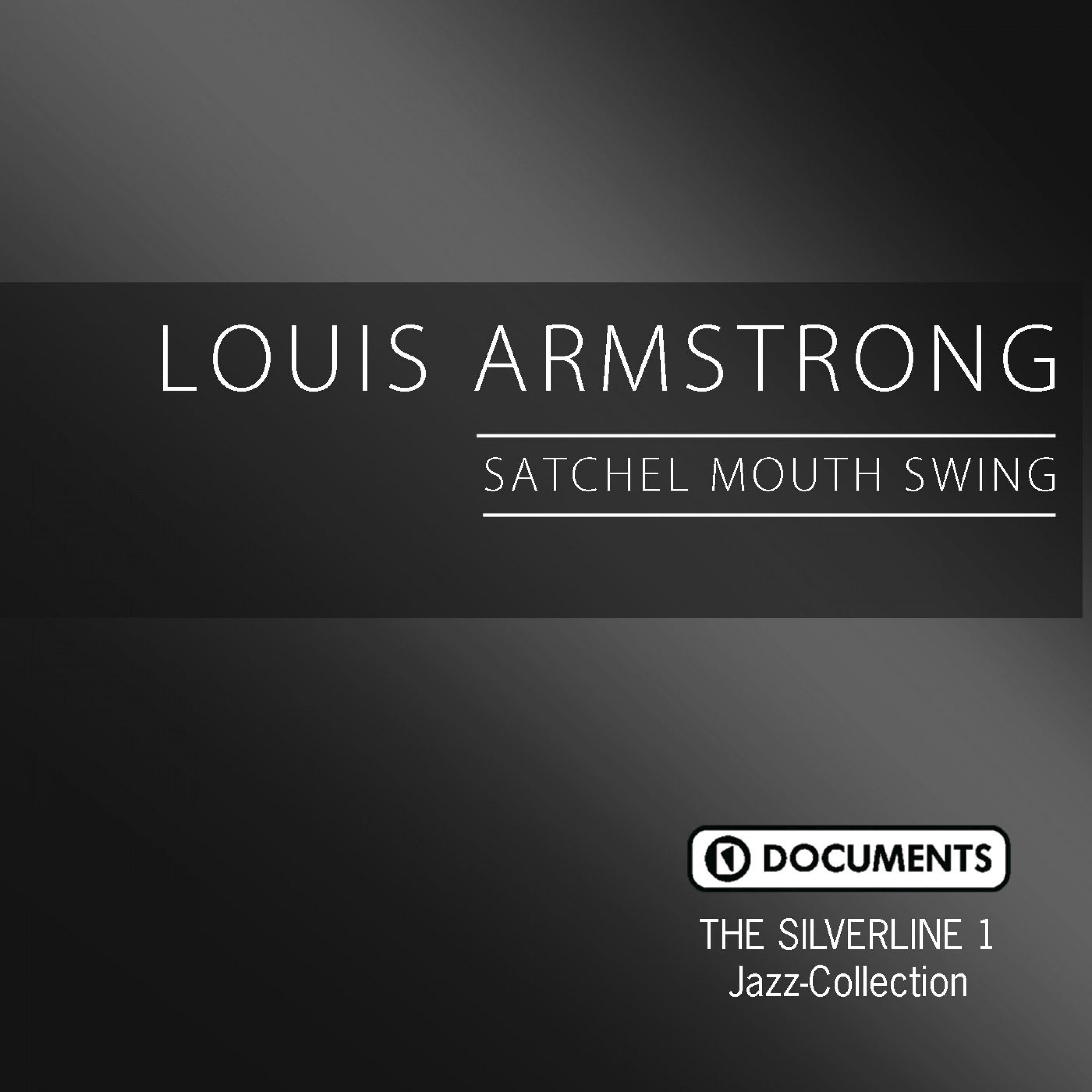 The Silverline 1 - Satchel Mount Swing