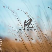 乐奇 - 风- 李峤 绝美意境国学经典中小学生必背古诗词音乐(原版伴奏)