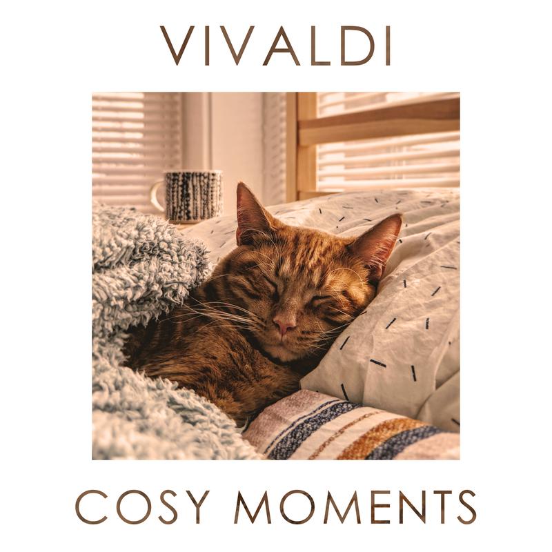 Vivaldi Cosy Vibes