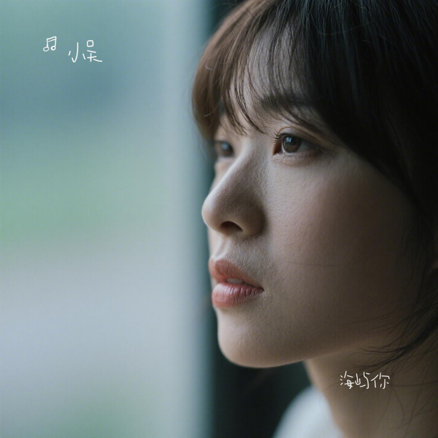 海屿你 (烟嗓版)