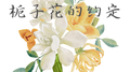 栀子花的约定专辑