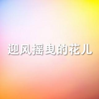 迎风摇曳的花儿专辑