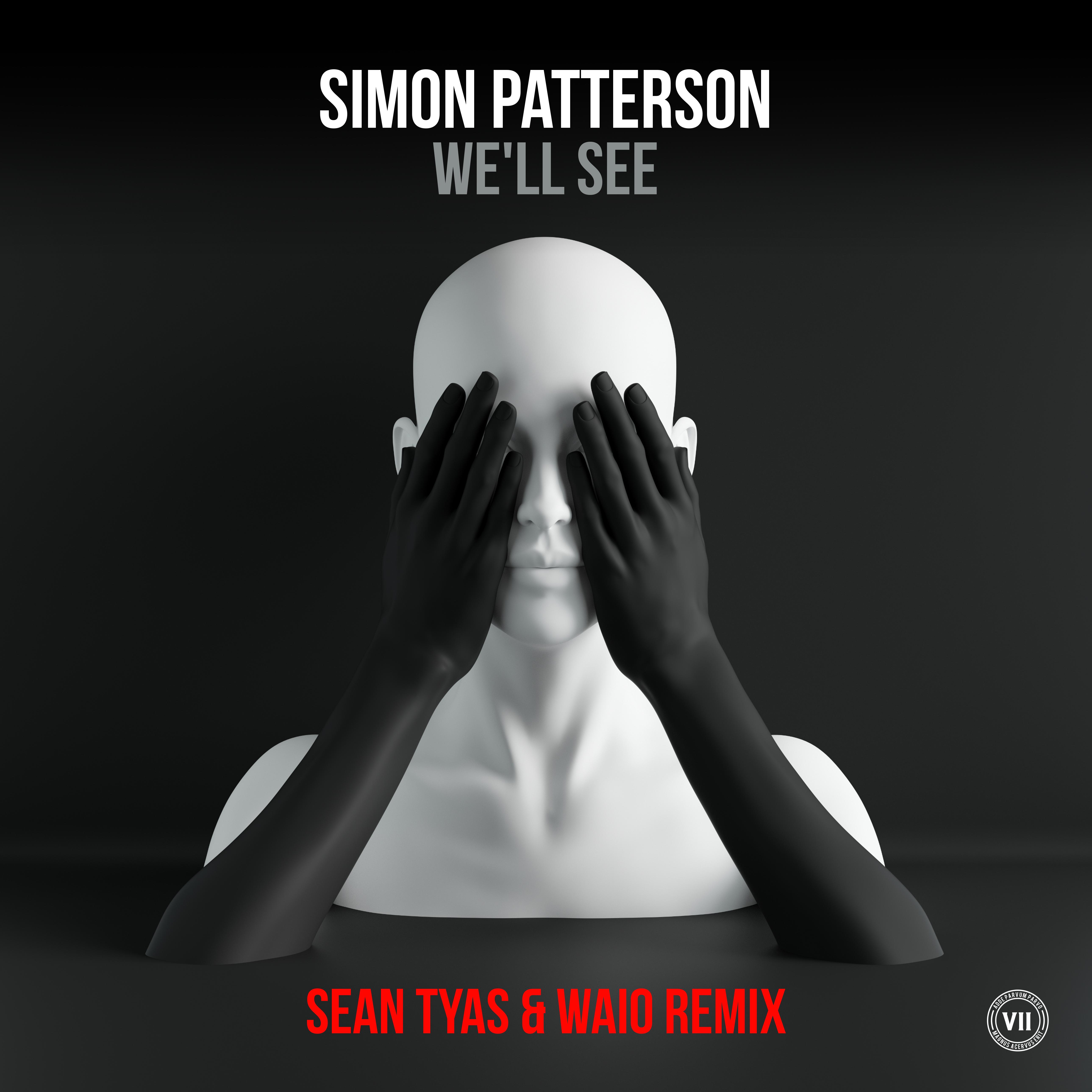 We’ll See (Sean Tyas & Waio Remix)