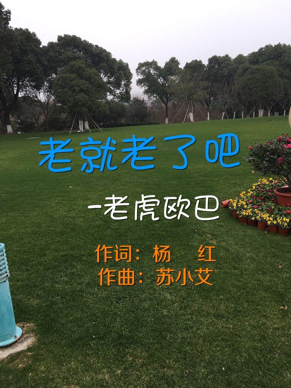 老就老了吧