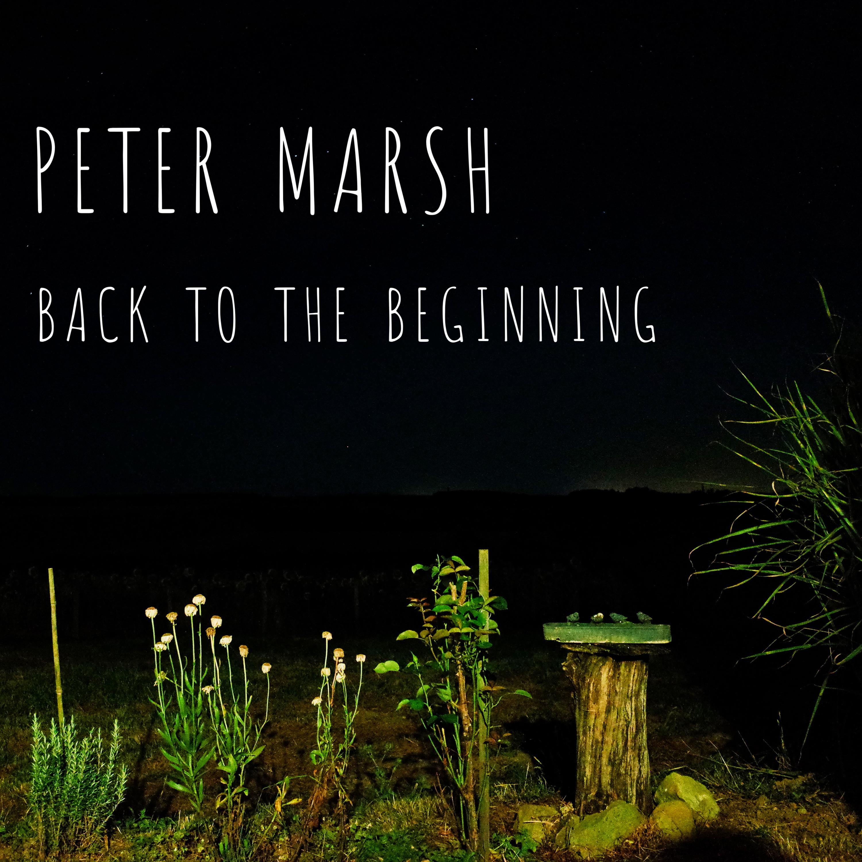 Peter Marsh - Fly Away