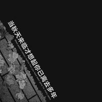 OlympusmonS - 当秋天来临才想起你已离去多年