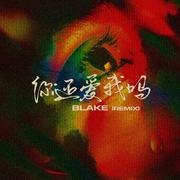 BLAKE-你还爱我吗(REMIX)