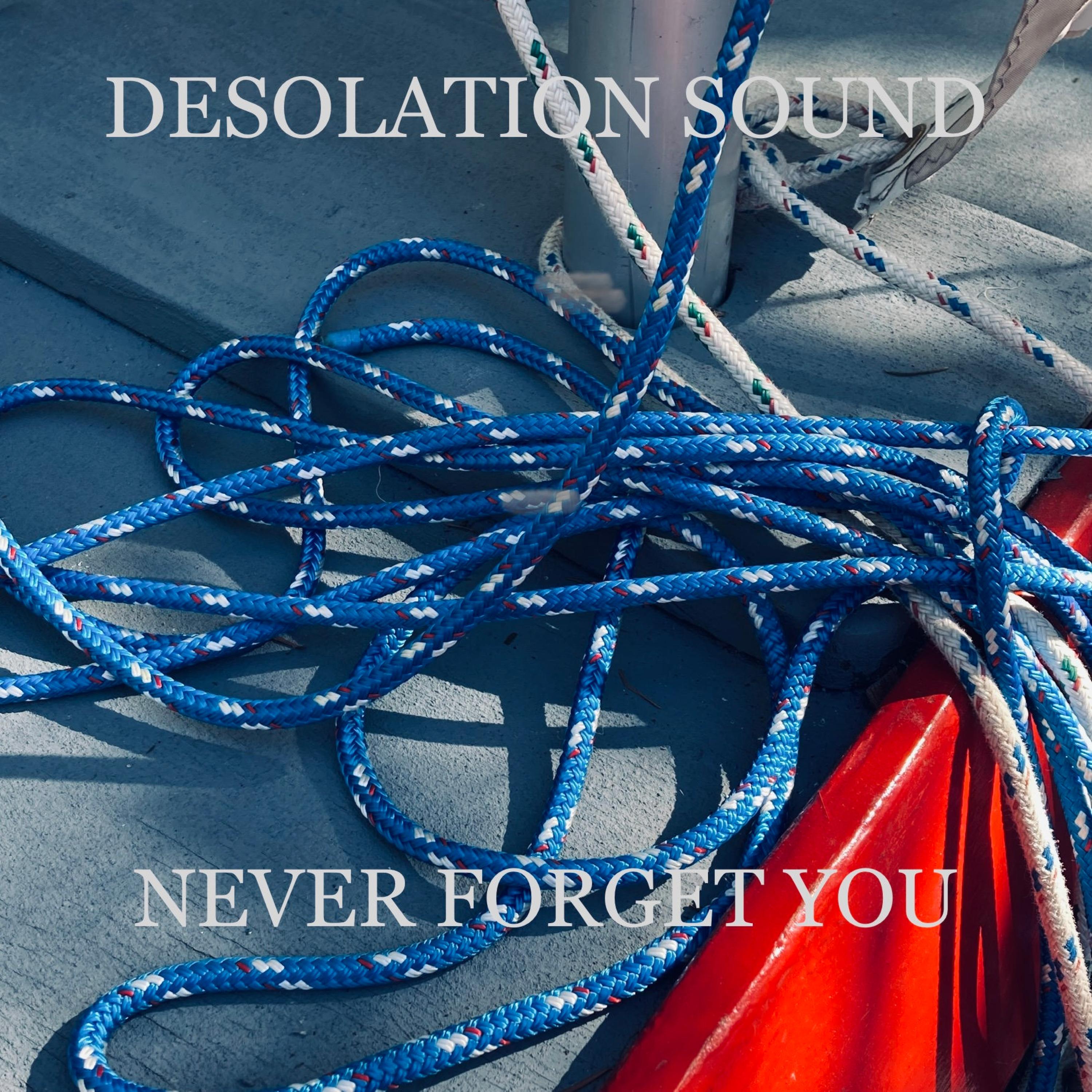 Never Forget You (feat. Jon Auer)