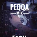 Peqqa Mix (IA5N mashup)专辑