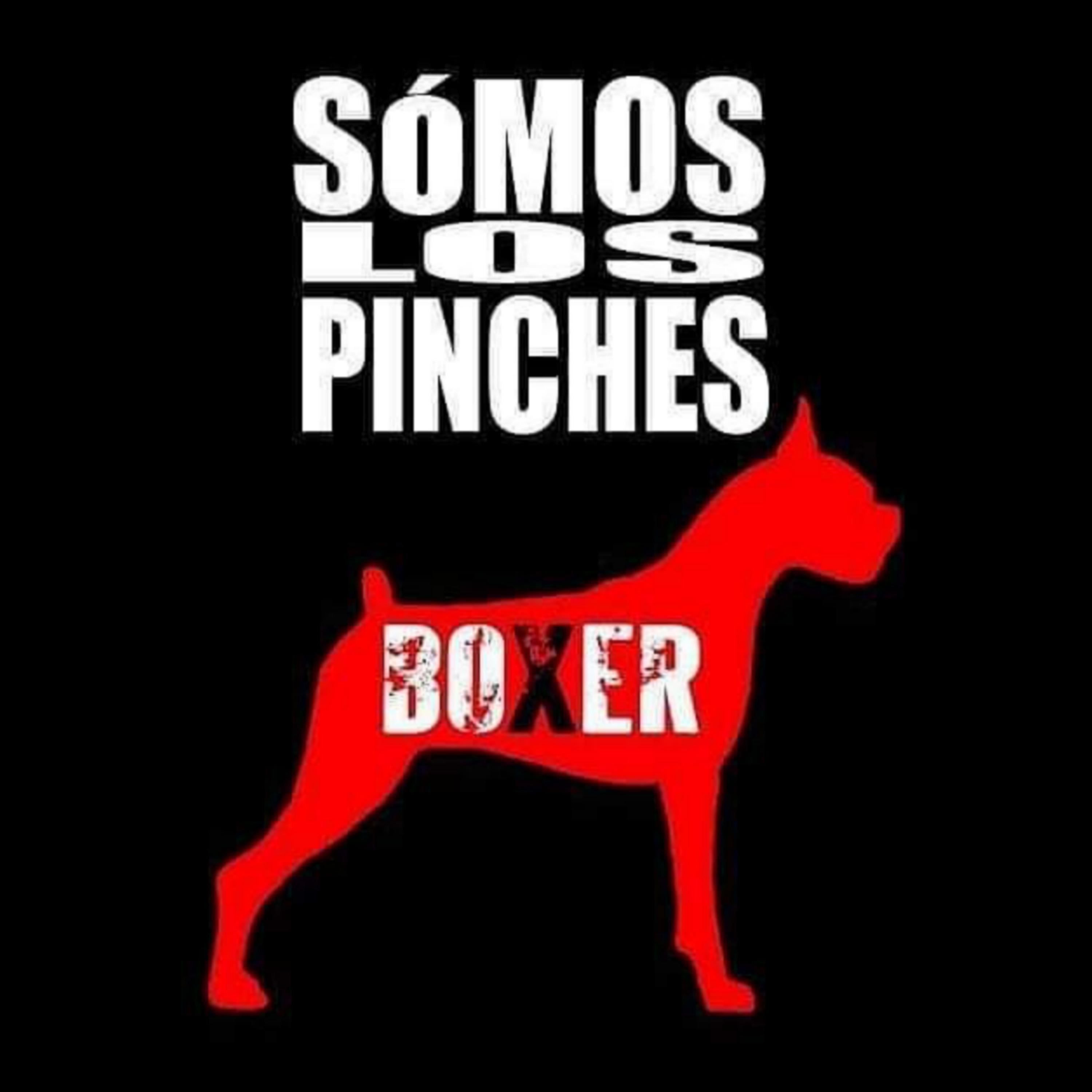 Somos Los Pinches Boxer