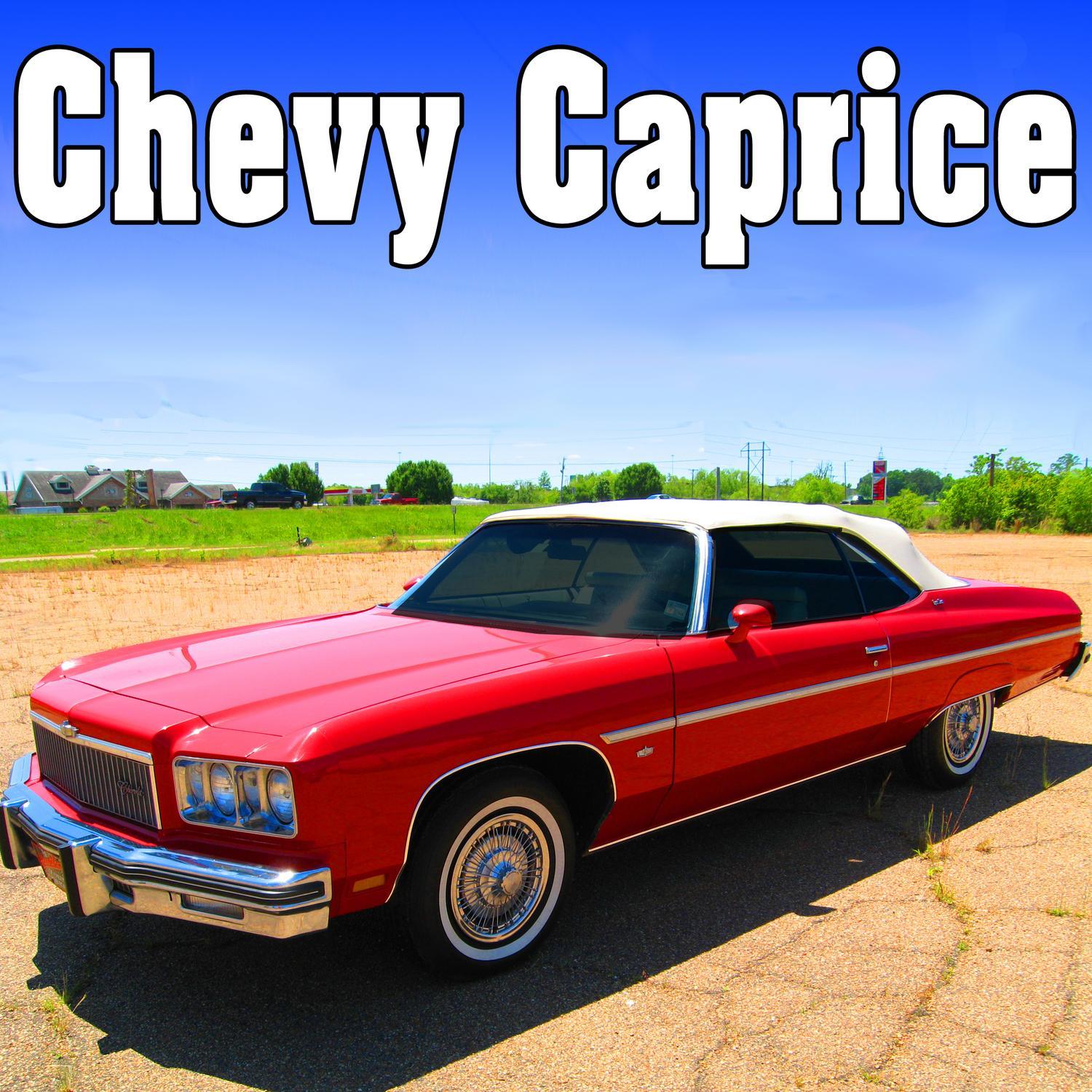 Chevy Caprice Hi-Lo Siren Starts, Runs & Stops