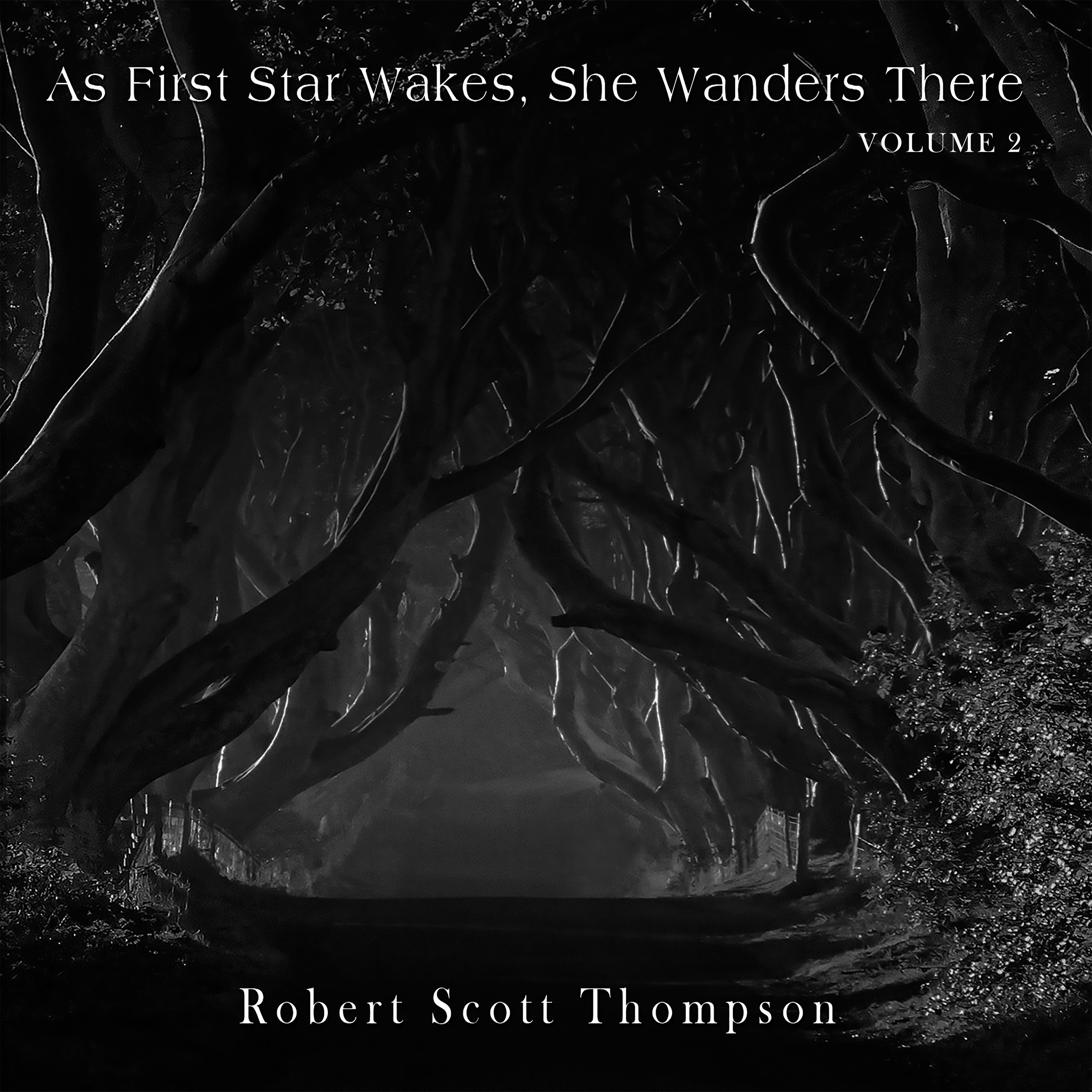As First Star Wakes, She Wanders There, Vol. 2