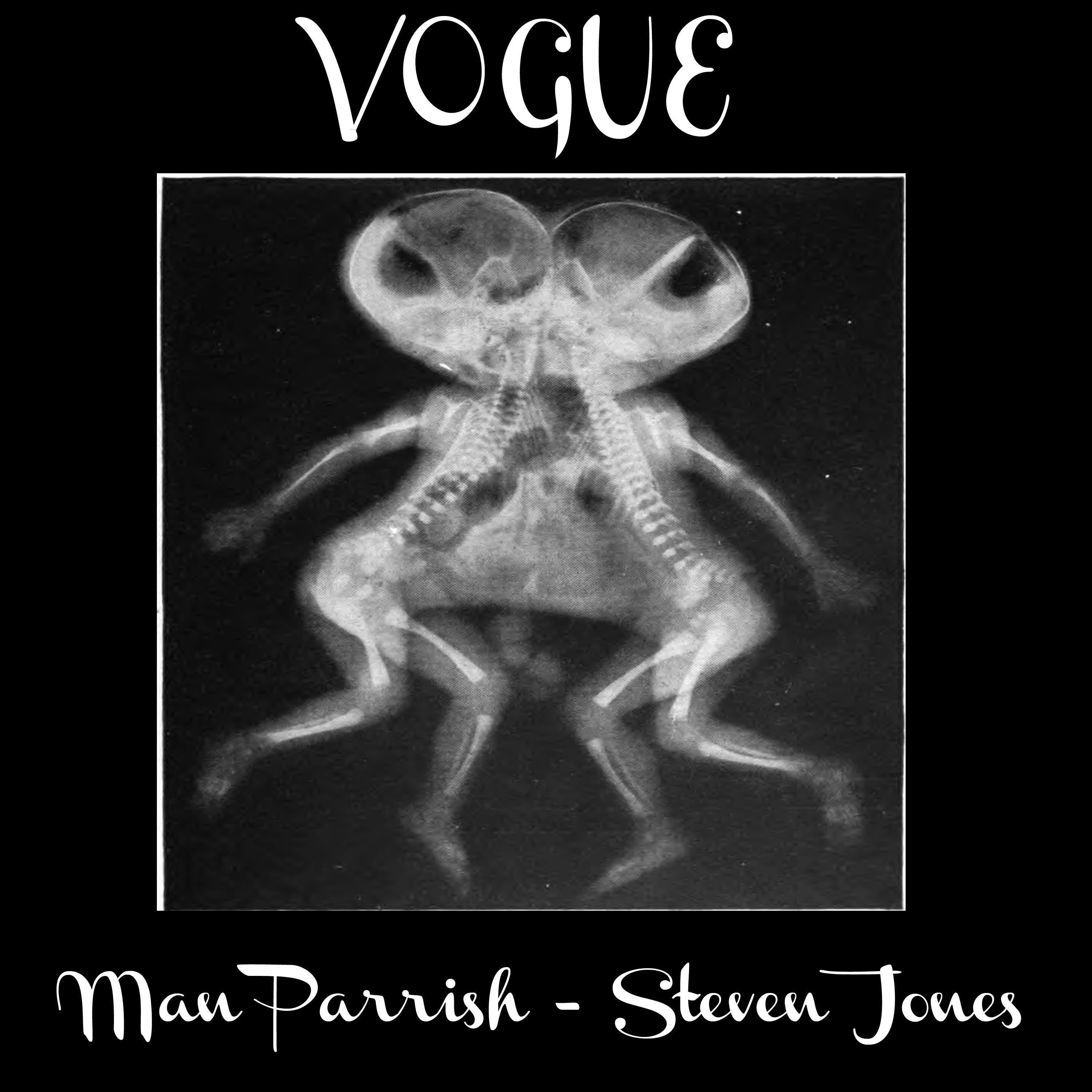Vogue (feat. Steven Jones)