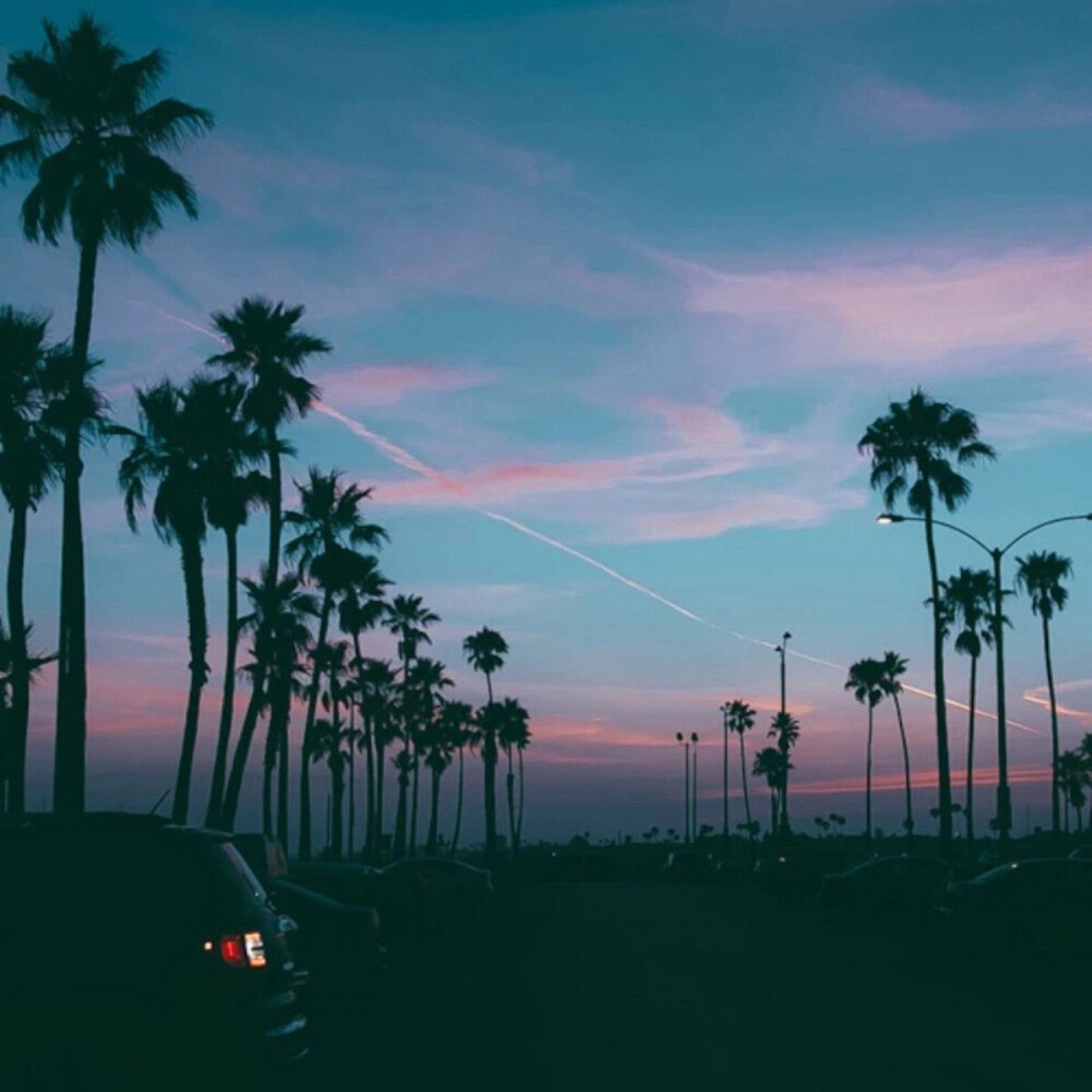 有些路我不走心不甘（男生版）