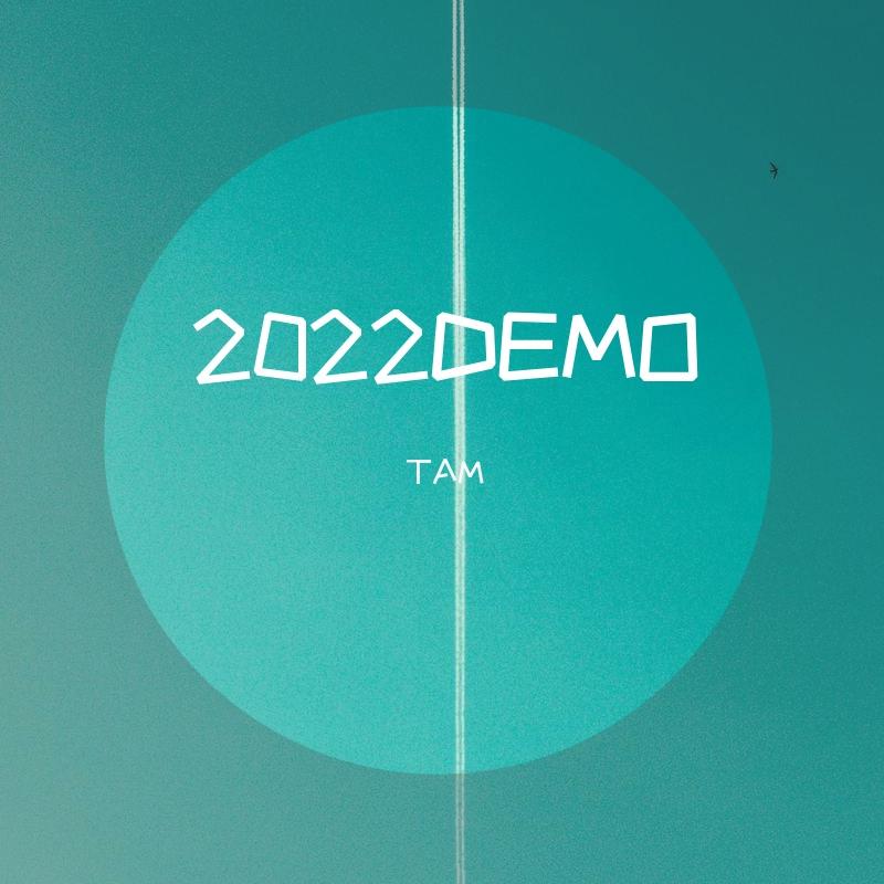 22.DEMO
