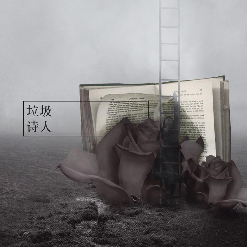 平纱落雁音乐团队歌曲封面