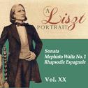 A Liszt Portrait, Vol. XX