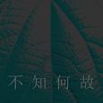 不知何故