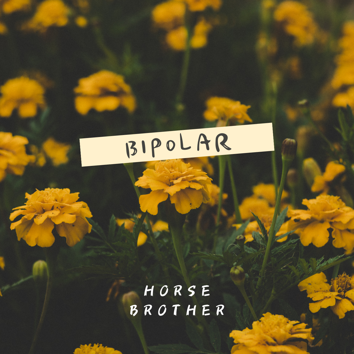 Bipolar