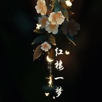 葬花吟（轻音乐）潇湘断肠