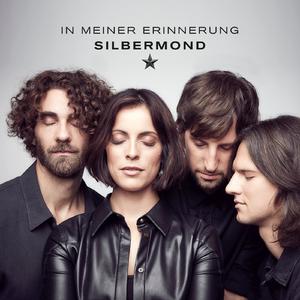 In meiner Erinnerung - Silbermond (Karaoke Version) 带和声伴奏 （升6半音）