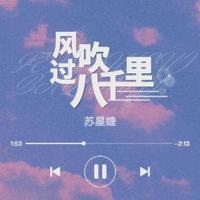 风吹过八千里 苏星婕(无损原版伴奏)